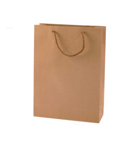 25Pz Busta regalo sacchetto grande in carta naturale cm24,5x9x34H (c/manici43)